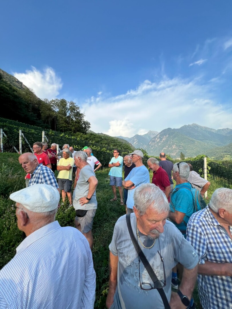 bellmeso2026-sanvittore1